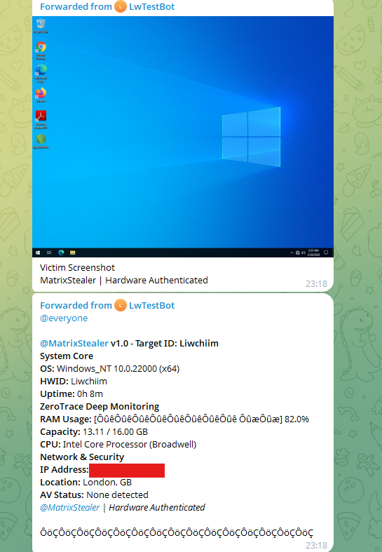 Matrix-LW Stealer system report and victim screenshot