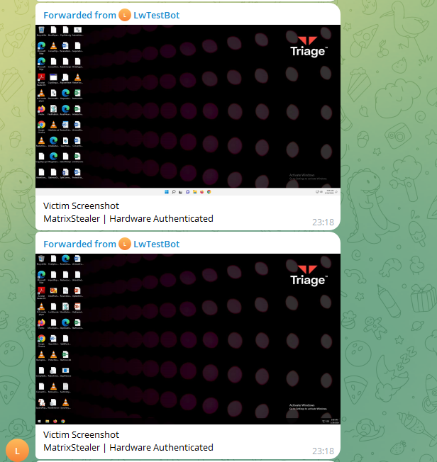Matrix-LW Stealer Triage sandbox victim screenshots